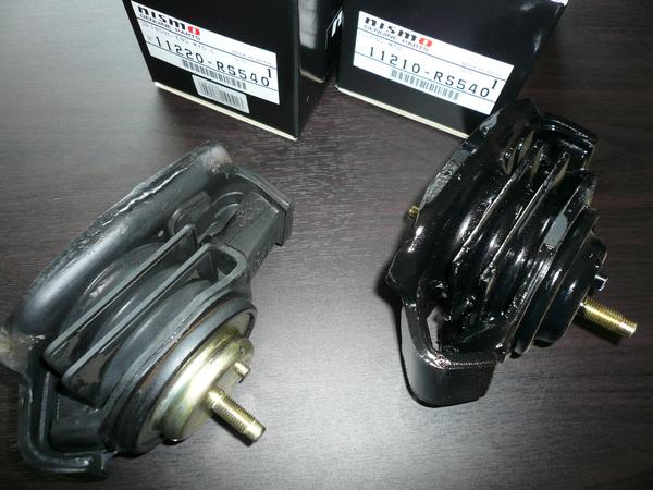 t500293388.1