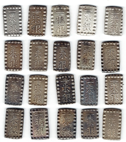 s551939841.3