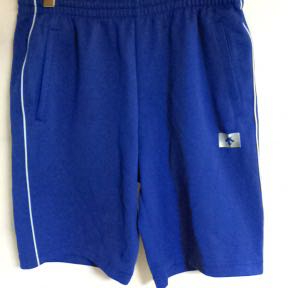 ◇ 京都産業大学 付属中高 体操服 ハーフパンツ デサント 名入れ無し メンズ Lサイズ 日本製 送料164円可