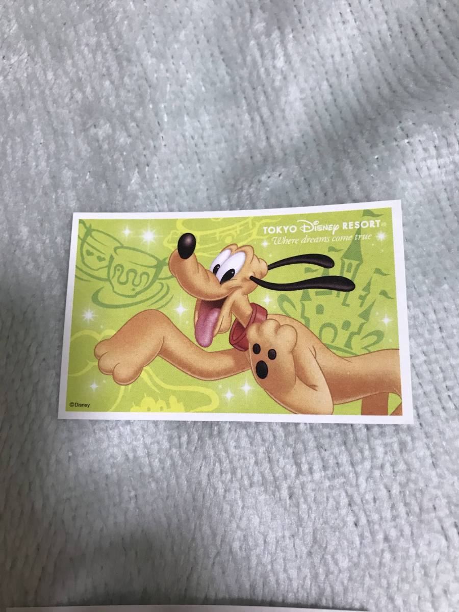 【まるまる1年間有効】1デーパスポート【即日発送♪】大人1枚。