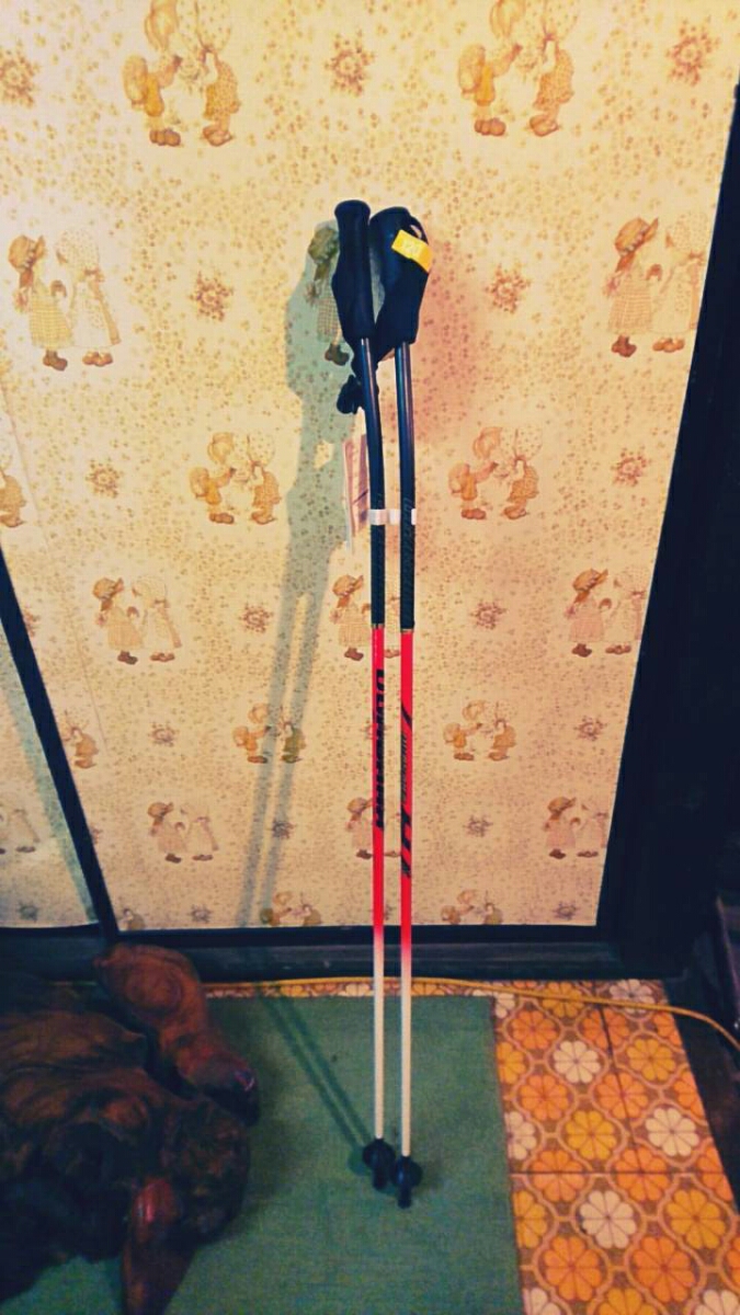 OGASAKA オガサカ 120cm GSポール 長さ | ストック」の人気商品一覧 