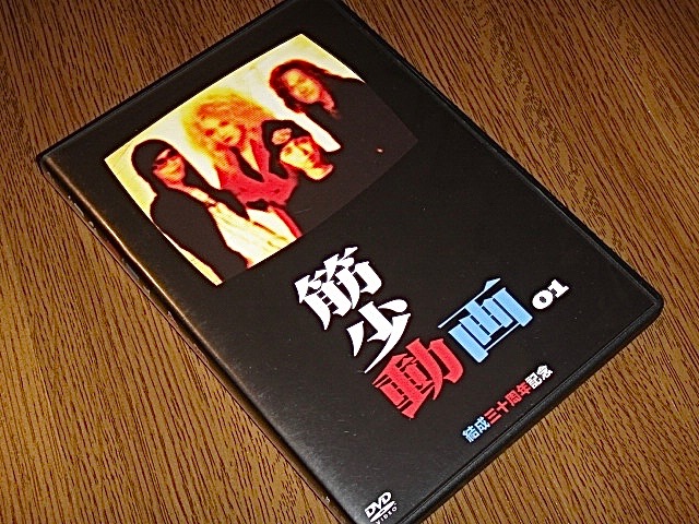 THE ALFEE DVD パンフレット 2000年 夏イベ
