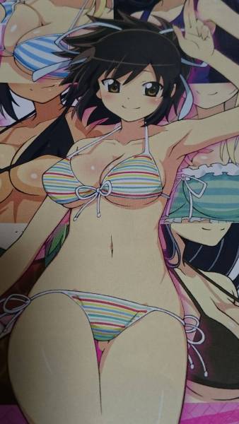 閃乱カグラ 飛鳥 斑鳩 葛城 柳生 雲雀 焔 詠 日影 未来 春花 パチスロ