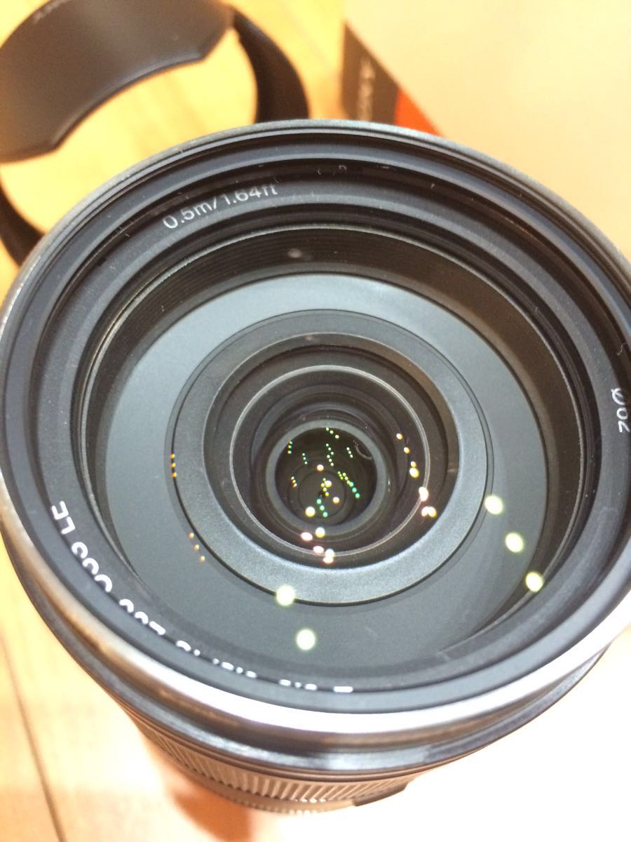 SONY SEL18200LE E 18-200 F3.5-6.3 OSS LE 美品 付属品完備 Kenko PRO1D付属