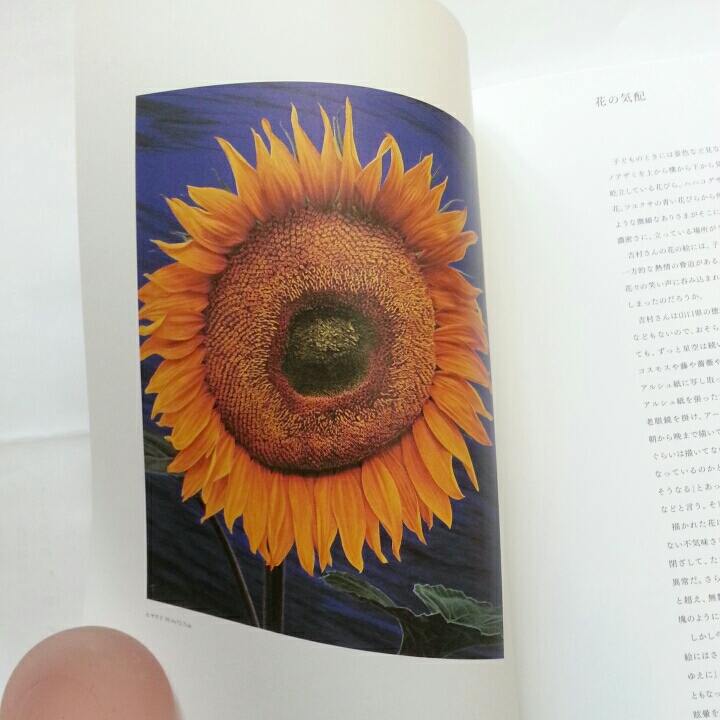 作品集 写実絵画 植物画 色鉛筆画 細密画 吉村芳生 非売品 サイン付き コスモス ヒマワリ タンポポ フジ ボタニカルアート 鉛筆画 木炭画 売買されたオークション情報 Yahooの商品情報をアーカイブ公開 オークファン Aucfan Com