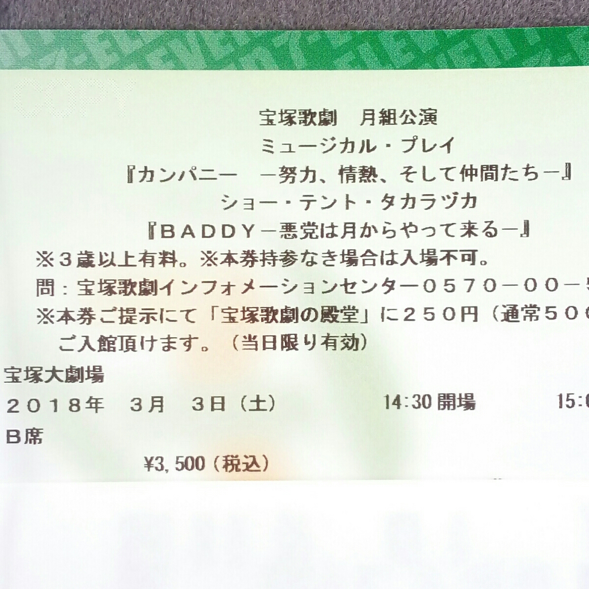 3/3(土) 15:00 宝塚歌劇月組 カンパニー 努力、情熱、そして仲間たち B席 2階 12列 1枚 宝塚大劇場 。