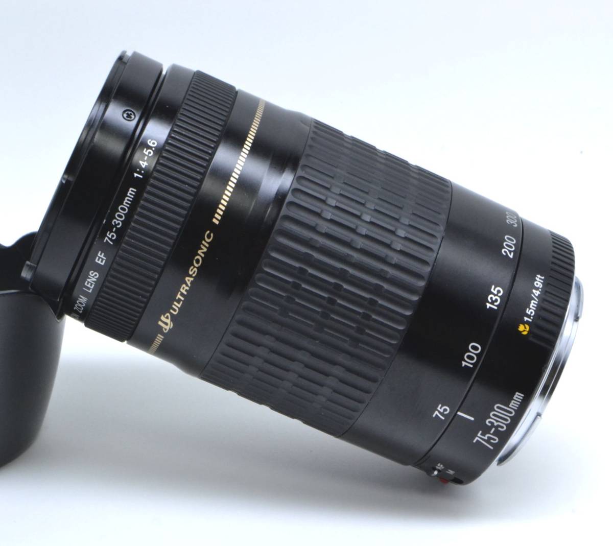 卒・入園式等に！ キヤノン 望遠レンズ EF75-300mm 大迫力300mm
