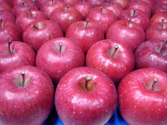 ■本場弘前りんご■サンふじ■特大玉30個11.3kg■限定1箱■家庭食用■生産者直送■