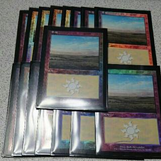 MTG Magic Foil 平地 MTG通販 日本最大級 土地 2枚セット Foil(342)《