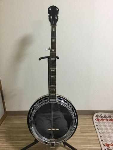 バンジョーのYahoo!オークション(旧ヤフオク!)の相場・価格を見る