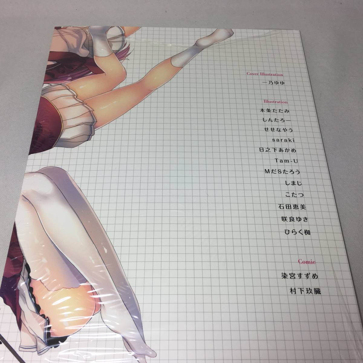 即決!! 未開封 ようこそ実力至上主義の教室へ Art Fan Book 2017冬