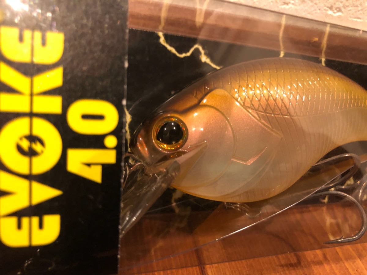 ダートマックスT R 30g パープルボーダーグリーン TR10 2個 ダート