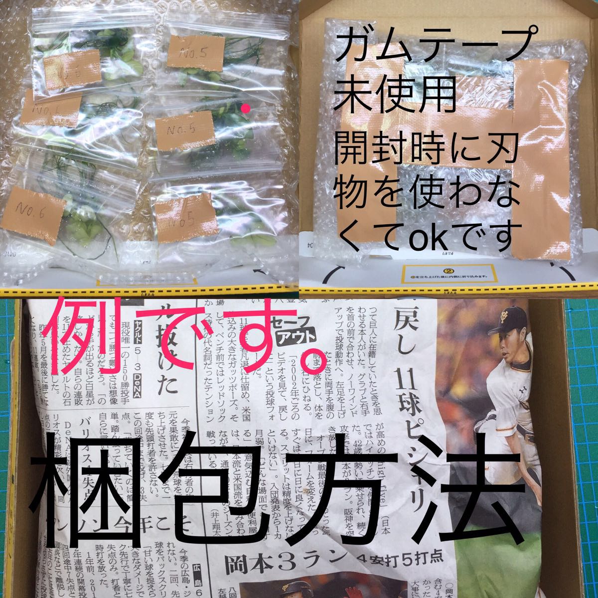 No.20 アヌビアス ナナ 白勝ち株3株セット 子株出てます(無農薬)_9