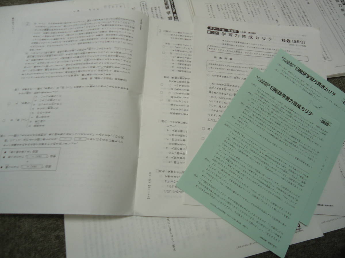 日能研 4年 小4 学習力育成カリテ19回（国算/国算理社） 夏期冬期特別 