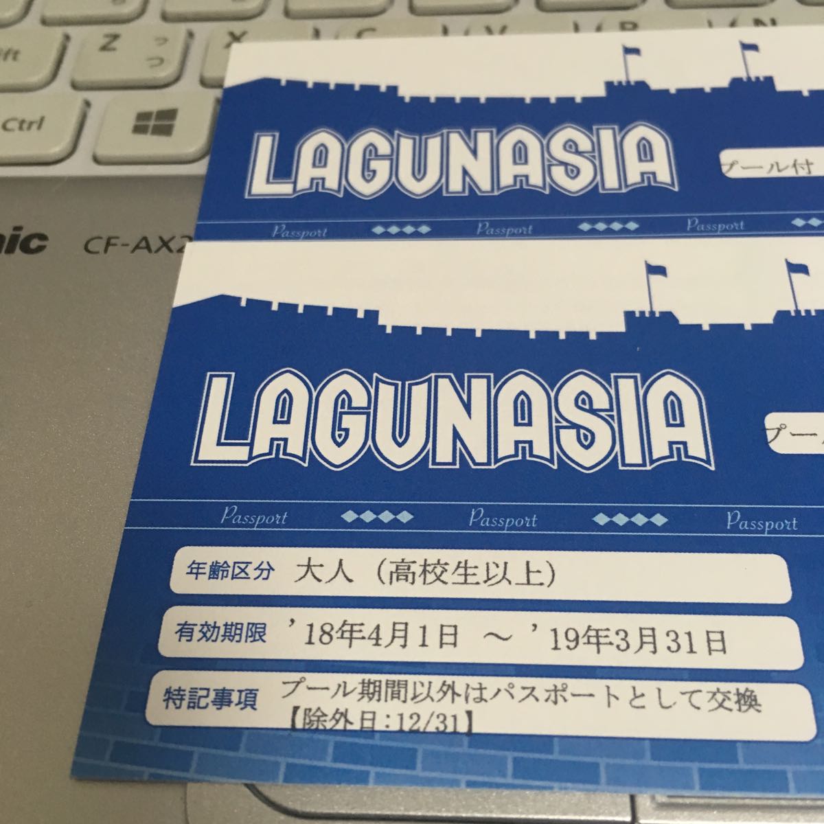 送料無料 おまけつき ラグナシア ラグーナ蒲郡 プール付パスポート 2枚