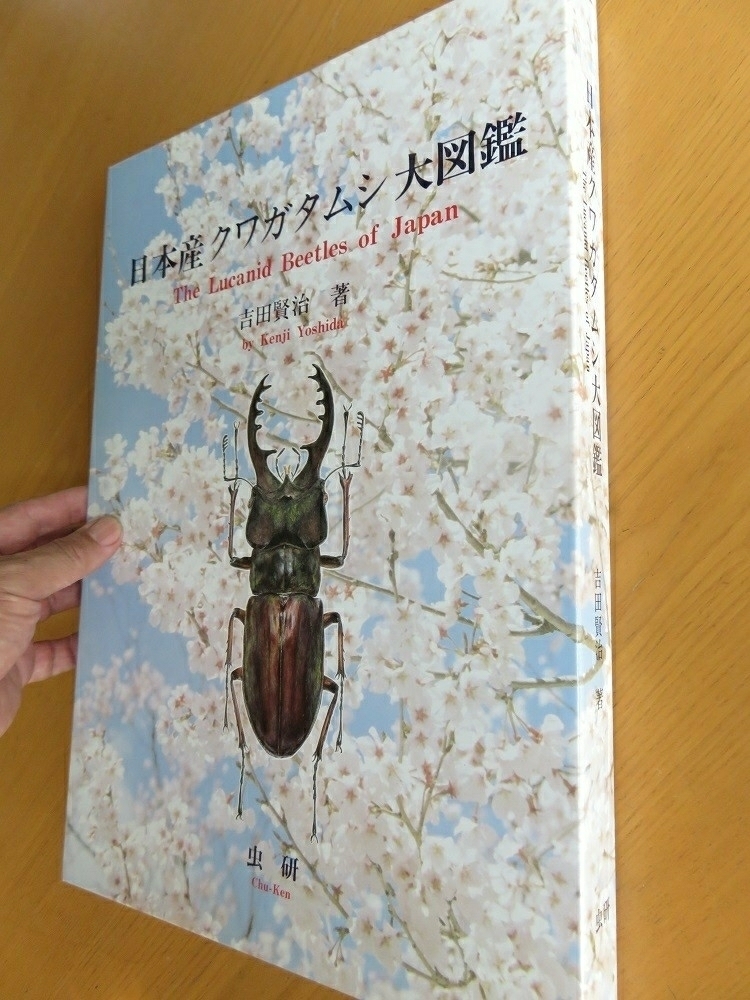 標本博物館 虫研】☆日本産クワガタムシ大図鑑☆ クワガタムシ 標本
