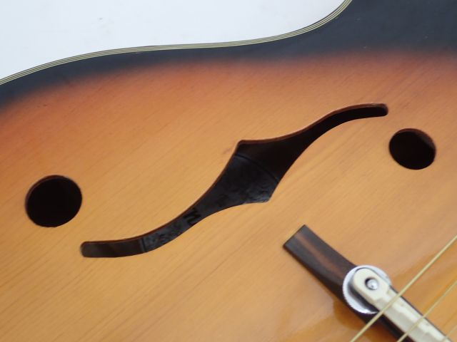 Nardan アコースティックギター NO.100 RITTERギグバッグ付き ナルダン
