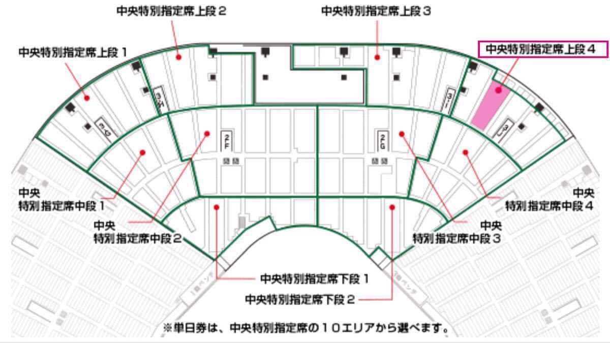 第12日(8月18日(金)予定)☆中央特別自由席☆第