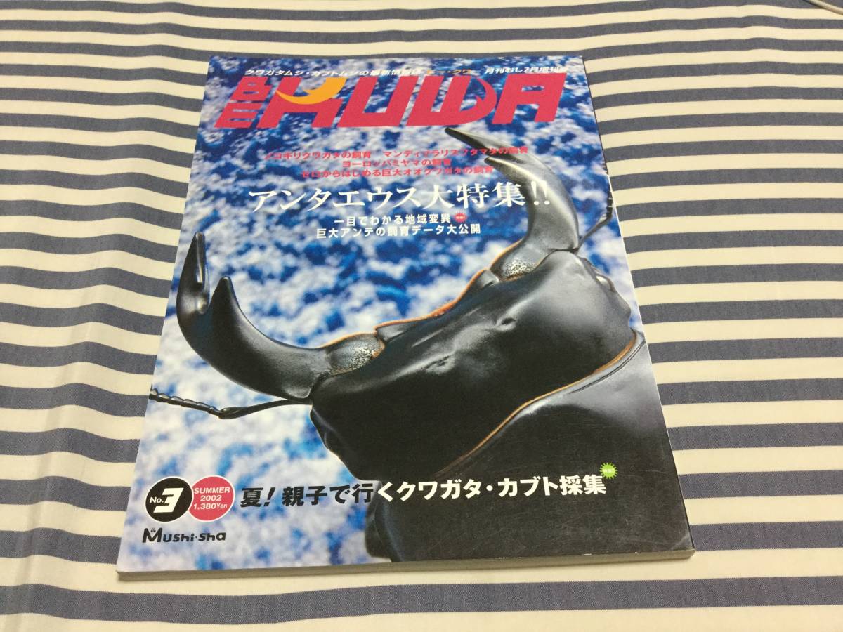 ビークワ36号（BE・KUWA） インドシナのオオクワガタ大特集 BE-KUWA 