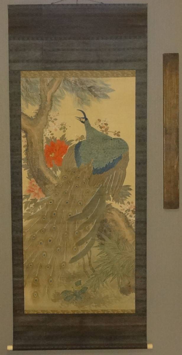 鑑定 小田原藩絵師・岡本 秋暉 筆 老松牡丹孔雀図 大幅 掛軸 沈南蘋・
