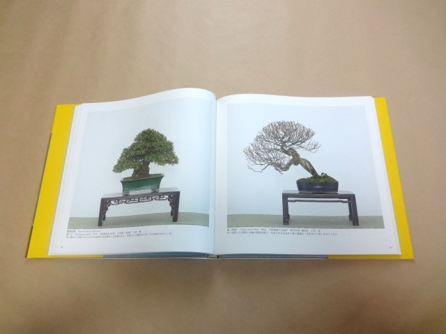☆ 国風盆栽展 第84回 + 第85回 + 第86回 + 第87回 4冊セット