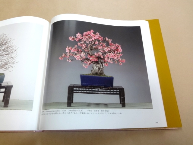 ☆ 国風盆栽展 第84回 + 第85回 + 第86回 + 第87回 4冊セット