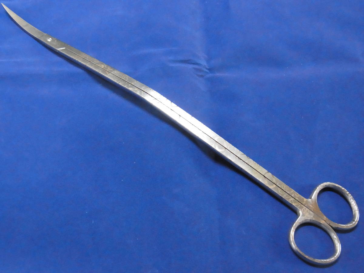 ADAプロシザース・ヌード_1