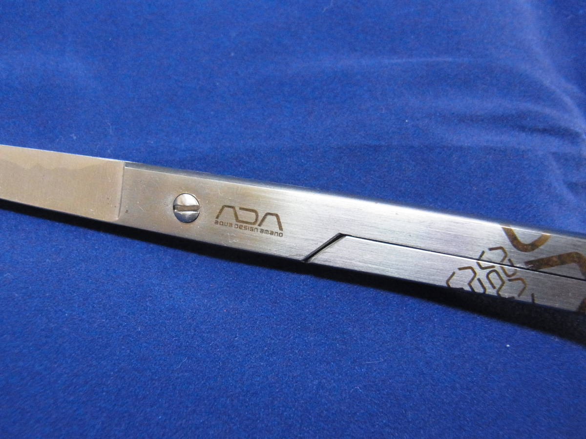 ADAプロシザース・ヌード_4