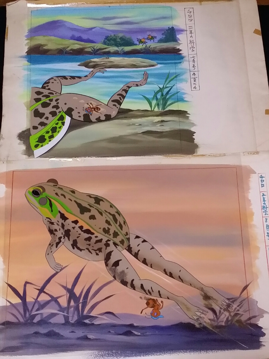 吉田竜夫