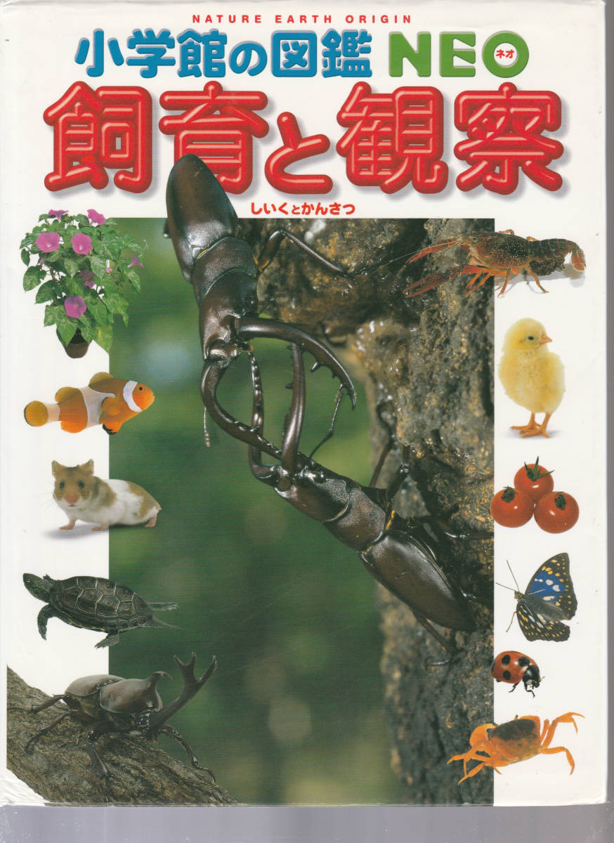 小学館 21世紀こども百科+図鑑NEO」16巻