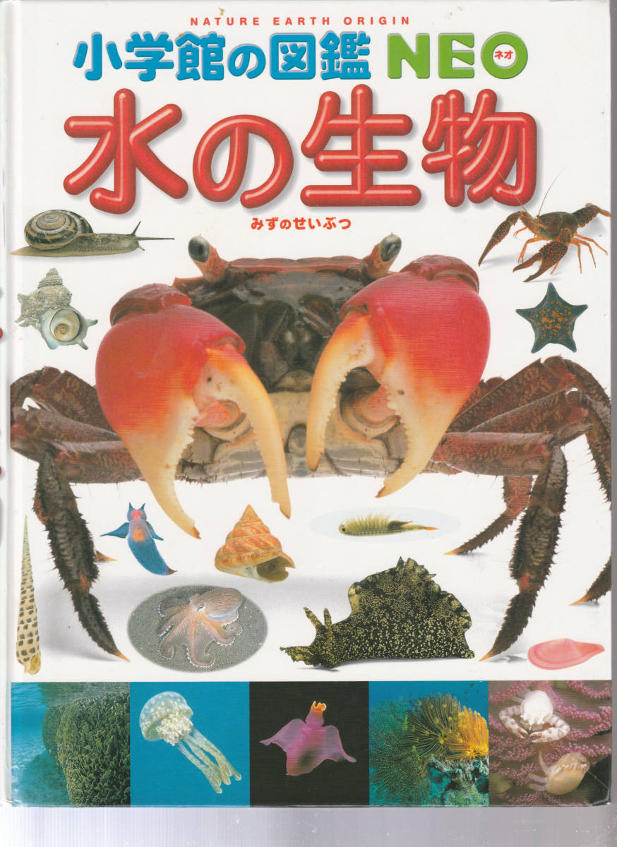 小学館 21世紀こども百科+図鑑NEO」16巻