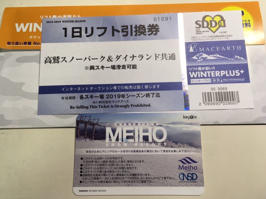 施設利用券 高鷲スノーパークダイナランド 全日共通リフト券