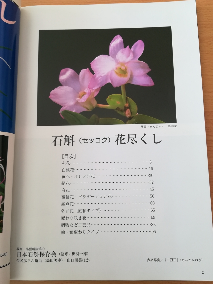 自然と野生ラン １月号増刊 セッコク 石斛 花尽くし 絶版 長正蘭 ラン 本 図鑑 増刊 山野草 野生 自然 野草 植物 売買されたオークション情報 Yahooの商品情報をアーカイブ公開 オークファン Aucfan Com