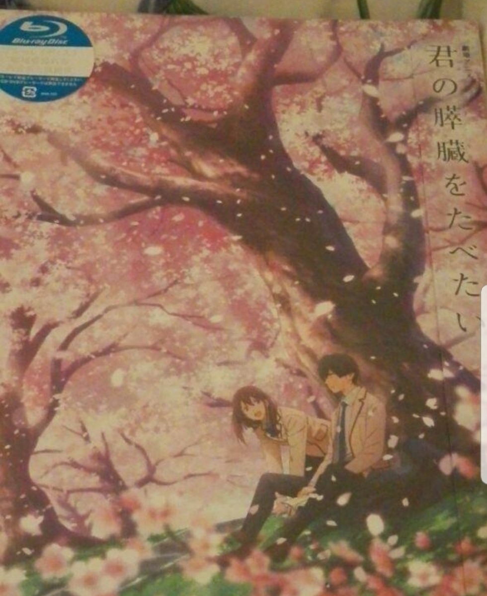劇場アニメ 君の膵臓をたべたい('18君の膵臓をたべたい アニメフィルム