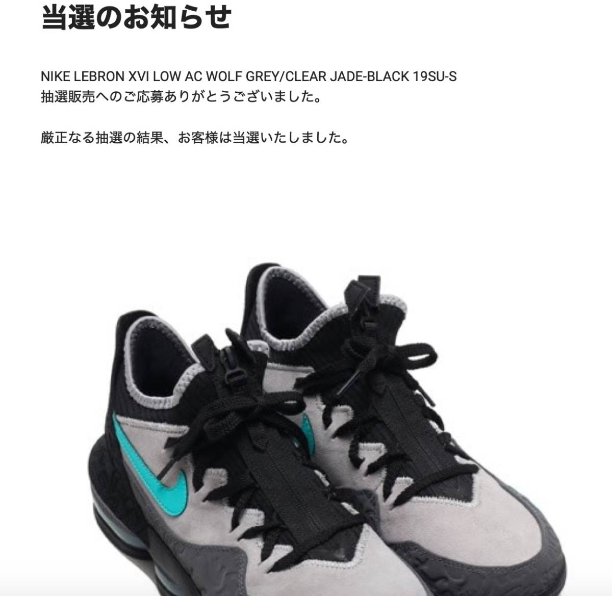 ﾅｲｷ ﾚﾌﾞﾛﾝ XVI LOW AC 27.5㎝ 未使用新品 楽天市場】ナイキ レブロン