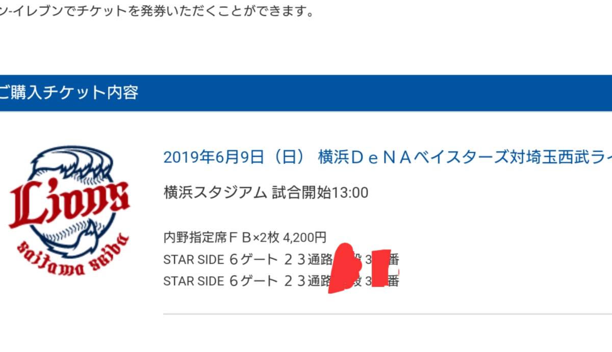 【横浜スタジアム】交流戦 横浜ベイスターズvs西武ライオンズ 6/9(日) 内野3塁側FB席 ペア