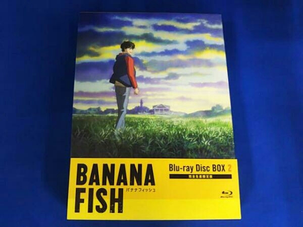 banana fish dvd box 2 BANANA FISH 復刻版BOX vol.2 (vol.2)