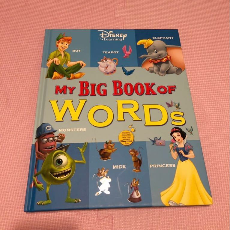 Book of Big My Words First book big Words: .com: 9781903840078 