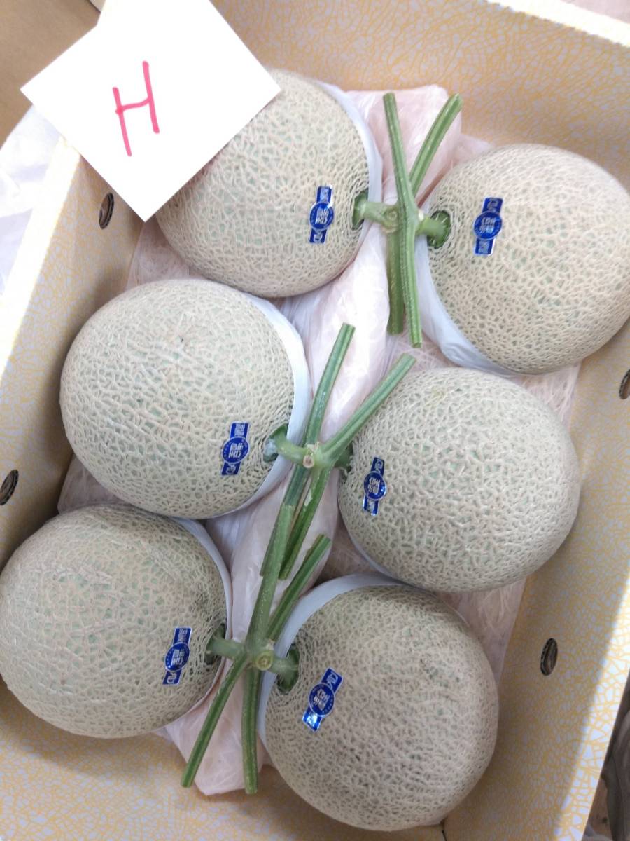 ♪送料無料 H 高級温室マスクメロン高知産 6玉約7.7kg いいメロン