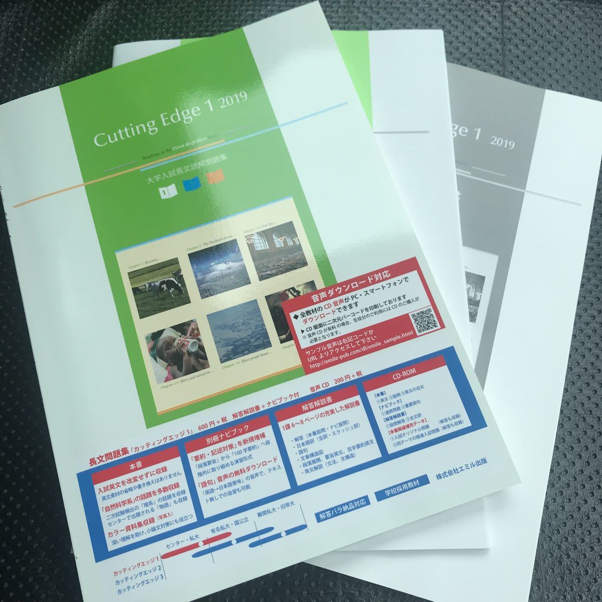 大学入試長文読解問題集 Cutting Edge 1 2019 エミル出版