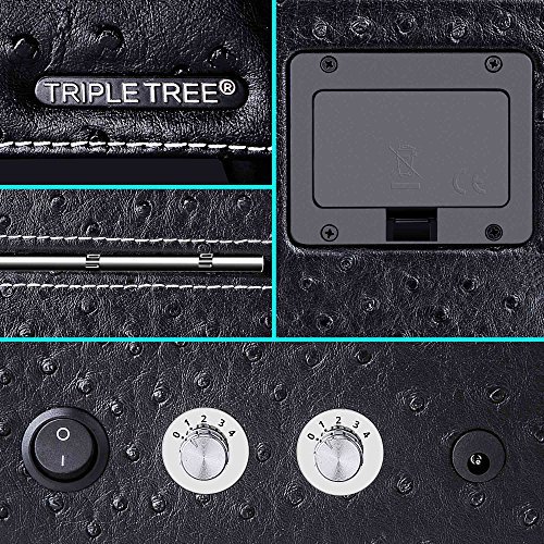 TRIPLE TREE ワインディングマシーン ２本巻き 腕時計自動巻き上げ器 ウォッチワインダー