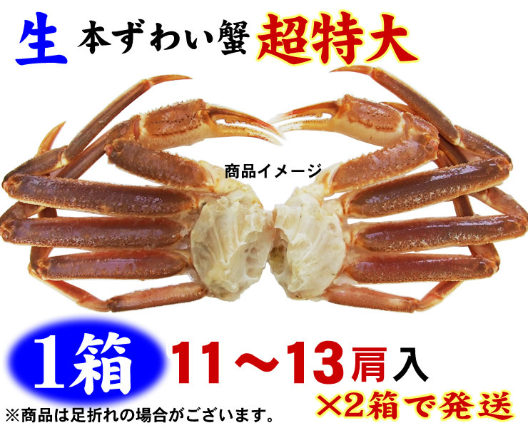 （生）ズワイガニ蟹脚!!!!どっさり10ｋｇセット!!!!![超特大5Ｌサイズ22～26肩前後入り][冷凍]【業務用】セクション ズワイガニ かに カニ