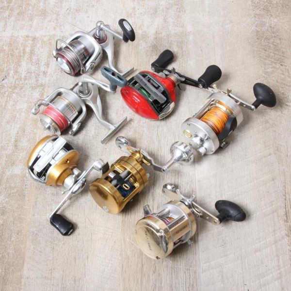  ダイワ DAIWA リール おまとめ セット スピニングリール 釣り フィッシング ルアー バス釣り フライフィッシング mc01024020(ダイワ)｜売買されたオークション情報、yahooの商品情報をアーカイブ ダイワ
