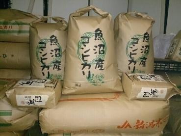 格安，SALE 南魚沼産コシヒカリ しおざわ西山地区 令和1年産 玄米15kg 精米(コシヒカリ)｜売買されたオークション情報、yahooの商品情報をアーカイブ公開 - オークファン コシヒカリ