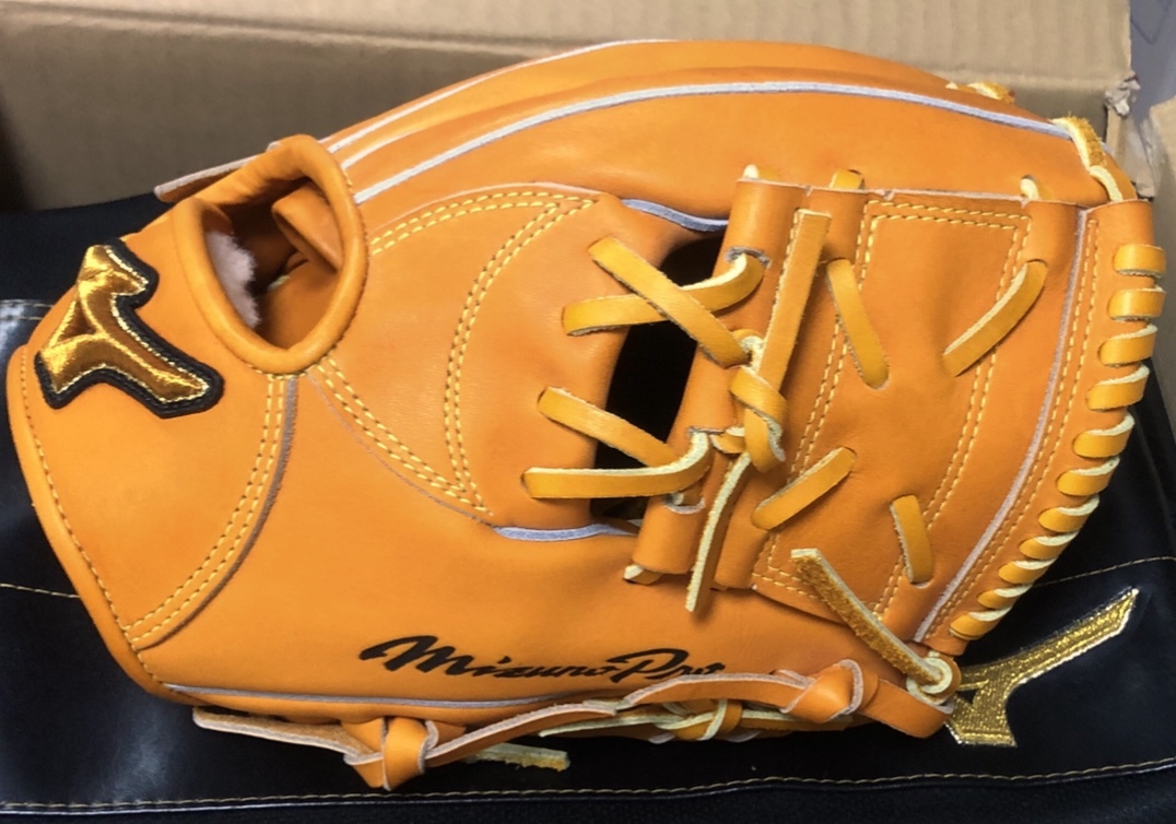 ミズノプロ硬式仁志モデル Mizuno Pro ビッグM 硬式用 グローブ 【公式