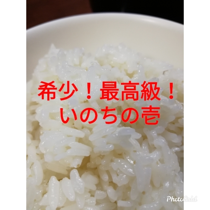 格安，人気 玄米発送特別価格 農直 コンテスト入賞者 の極良食味品種 いのちの壱 元年産 玄米30ｋｇ(玄米)｜売買されたオークション情報、yahooの商品情報をアーカイブ公開 - オークファン その他