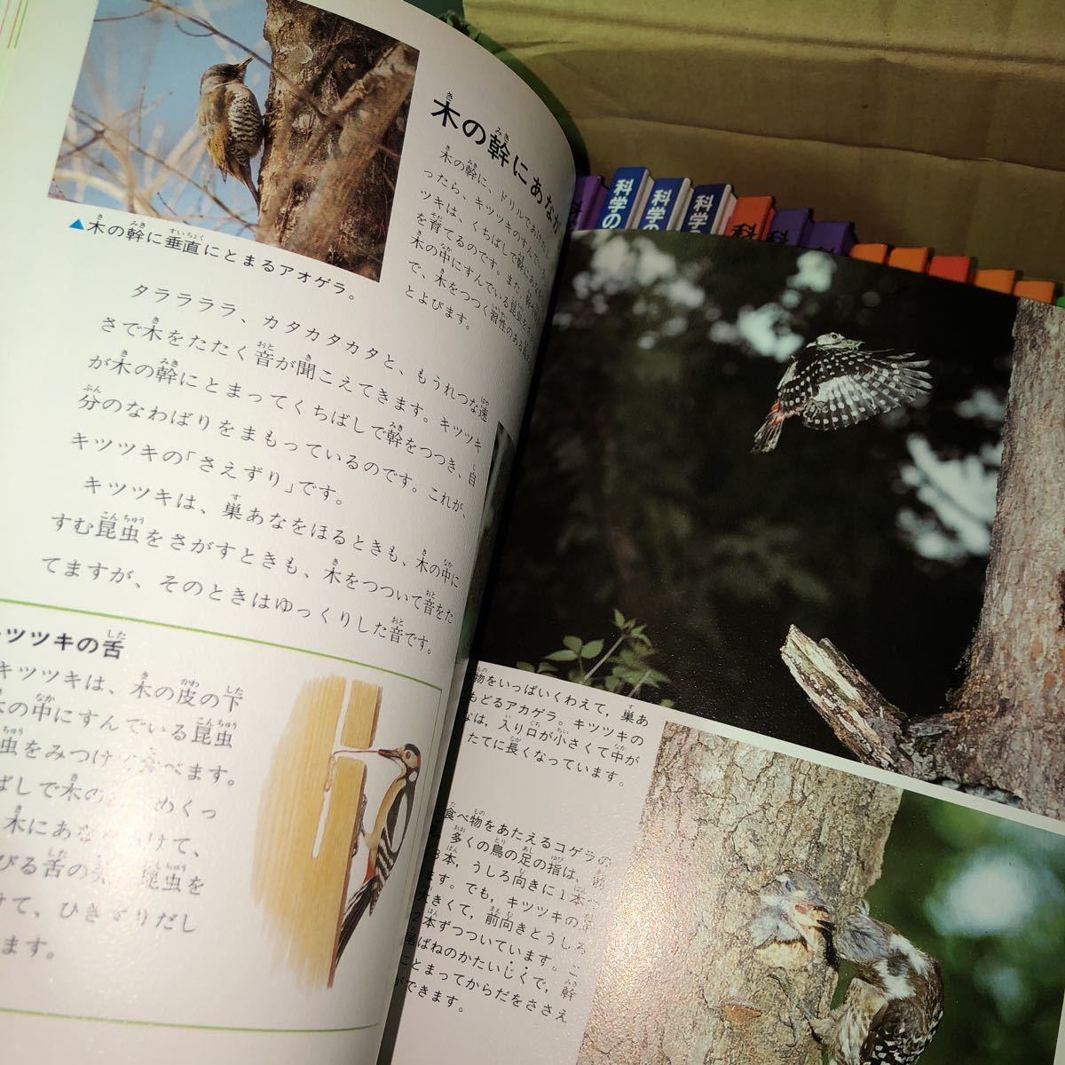 科学のアルバム あかね書房 送料無料 -科学のアルバム 2026年最新Yahoo 