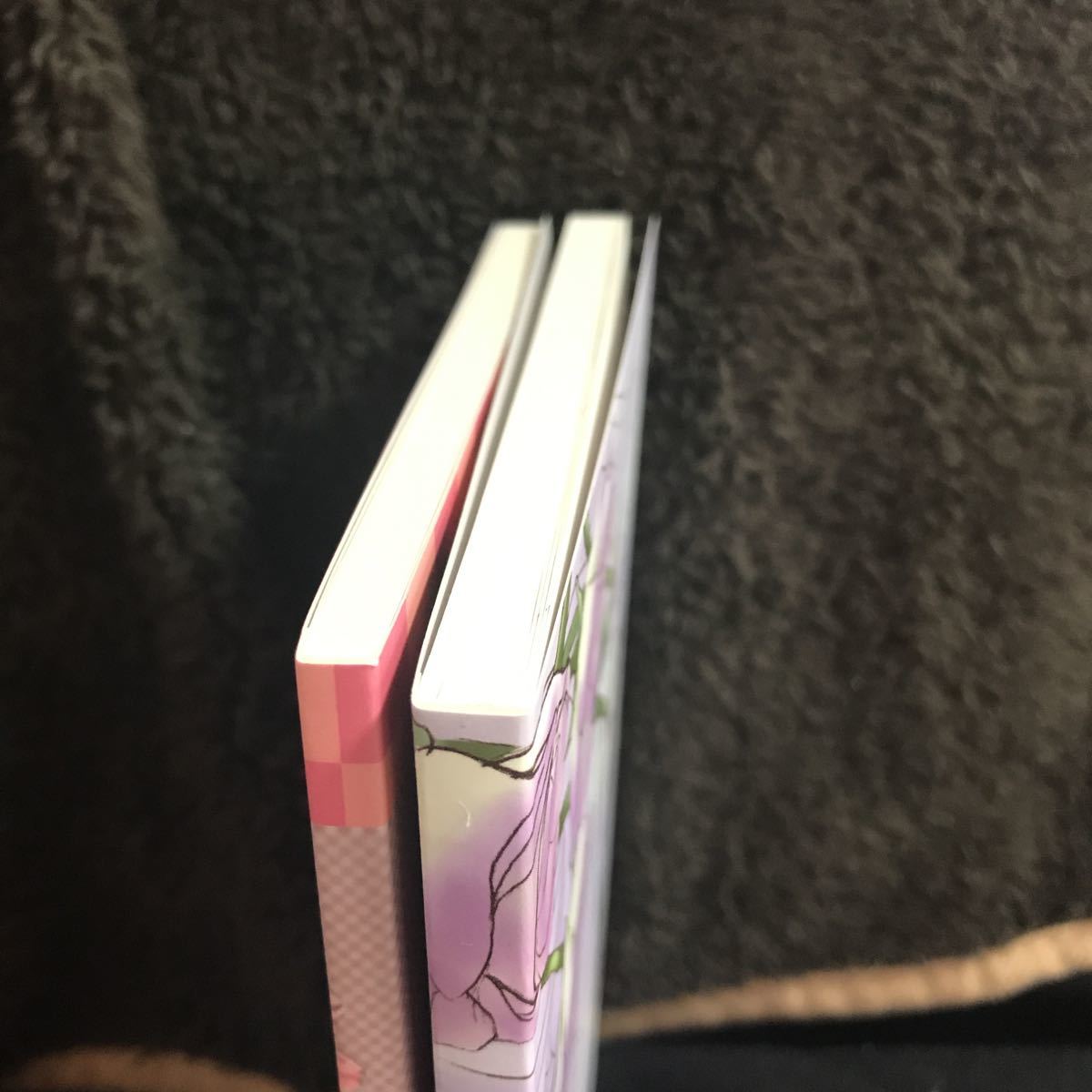 スキップ ビート 同人誌 クレパラ推進委員会 Reverse1 超お買い得