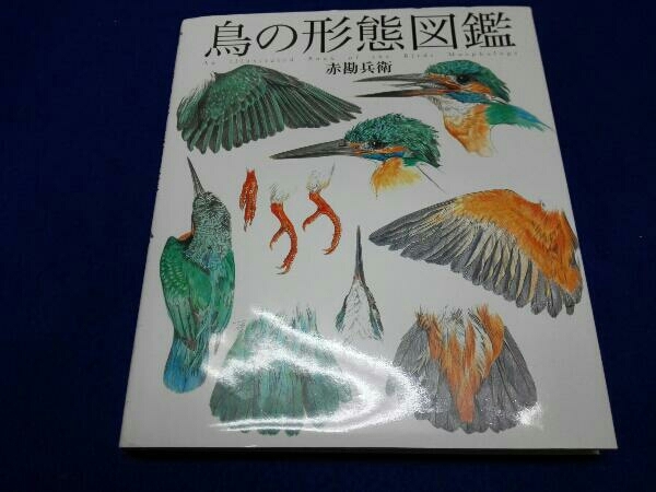 鳥の形態図鑑 赤勘兵衛 鳥の形態図鑑