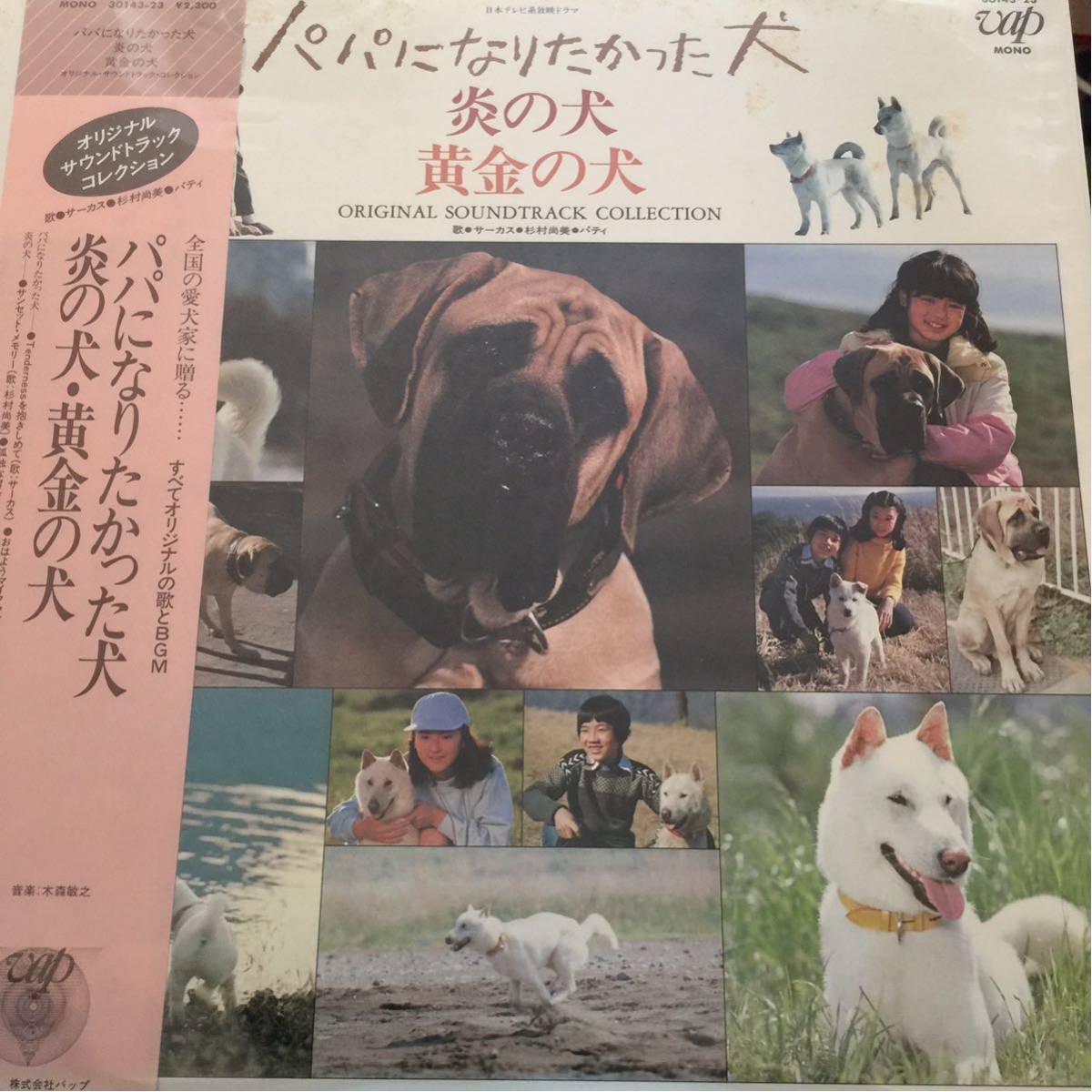 黄金の犬 : - パパになりたかった犬 伝説の犬ドラマ黄金の犬TVドラマ版